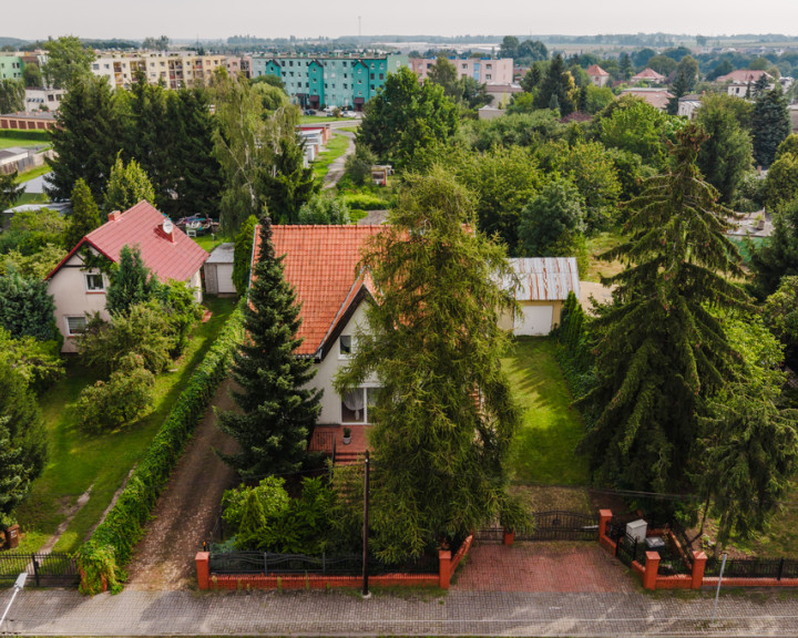 Dom Sprzedaż Szamotuły Zielona