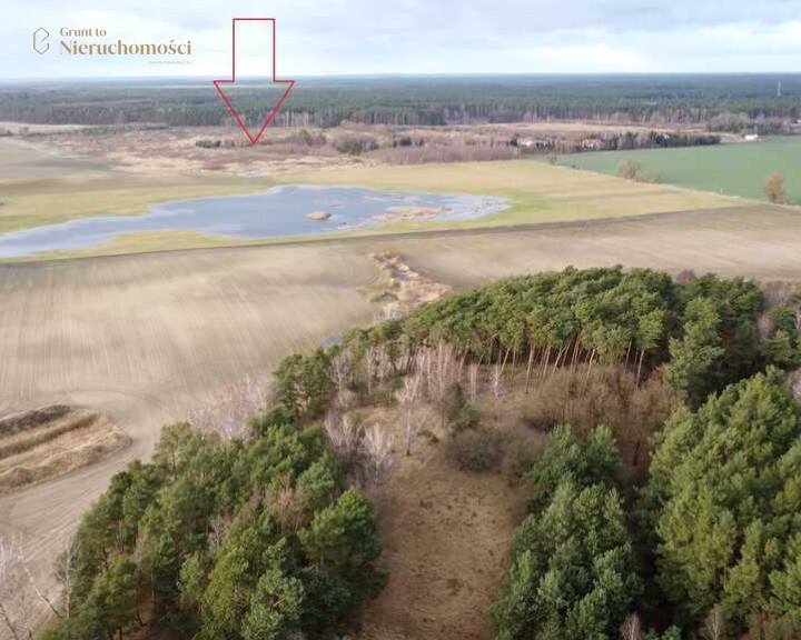 Działka Sprzedaż Pruszewiec
